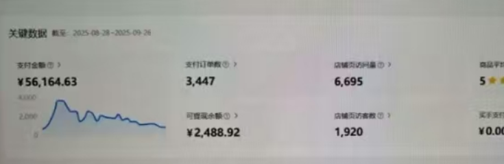 虚拟第三期陪跑丨小红书虚拟丨单 品服务玩法+细分铺货玩法