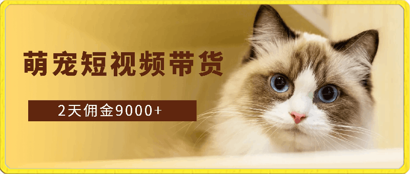 东哲·萌宠短视频带货,2天佣金9000+