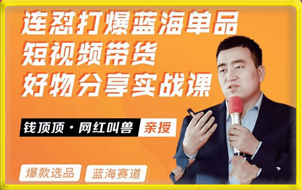 钱顶顶-连怼打爆蓝海单品短视频带货好物分享实战课 网红叫兽