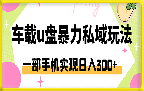 车载u盘暴力私域玩法,一部手机实现日入300+