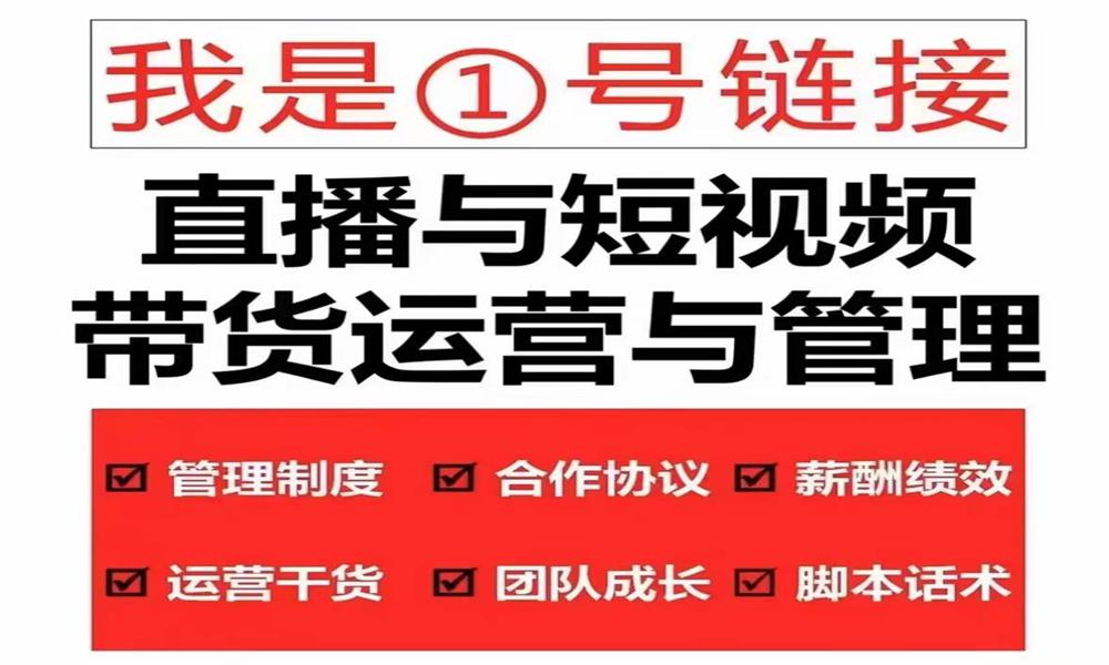 慧老板· 直播带货运营与管理2.0