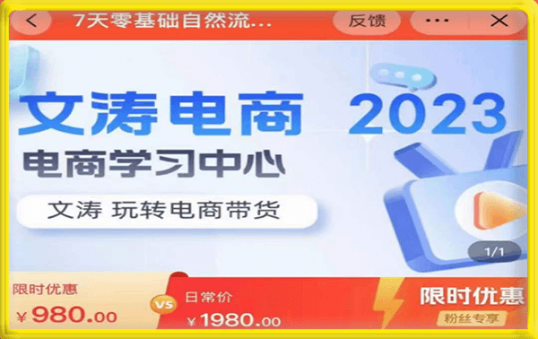 文涛电商  7天零基础自然流起号课程