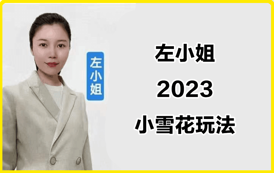 左小姐2023小雪花玩法