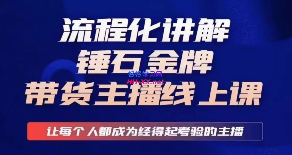 锤石传媒婉婉·金牌带货主播线上课