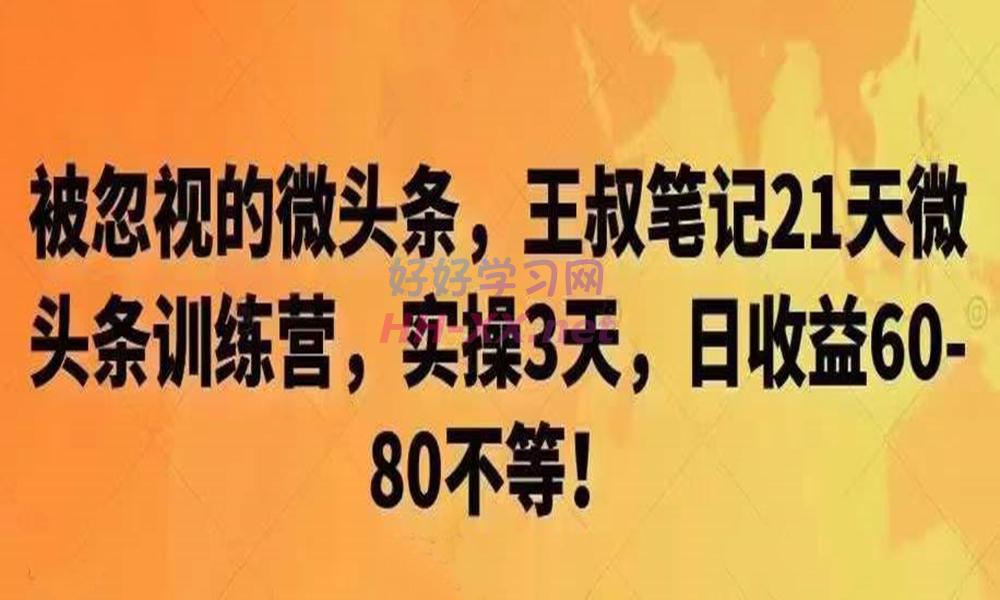王叔笔记微‮条头‬训练营，实操3天，单号日收益60-80【文档】