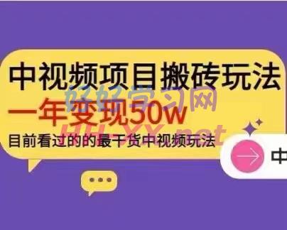 老吴中视频项目搬砖玩法