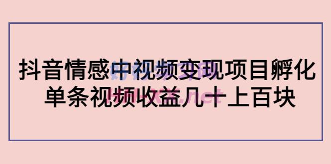 黄岛主：抖音情感中视频变现项目