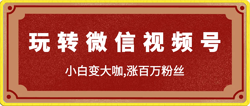 玩转微信视频号,小白变大咖,涨百万粉丝