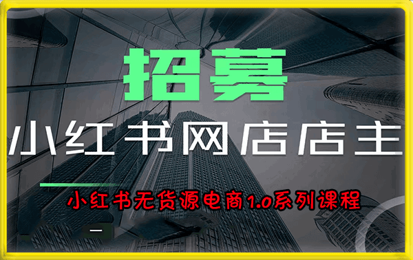 小红书无货源电商1.0系列课程