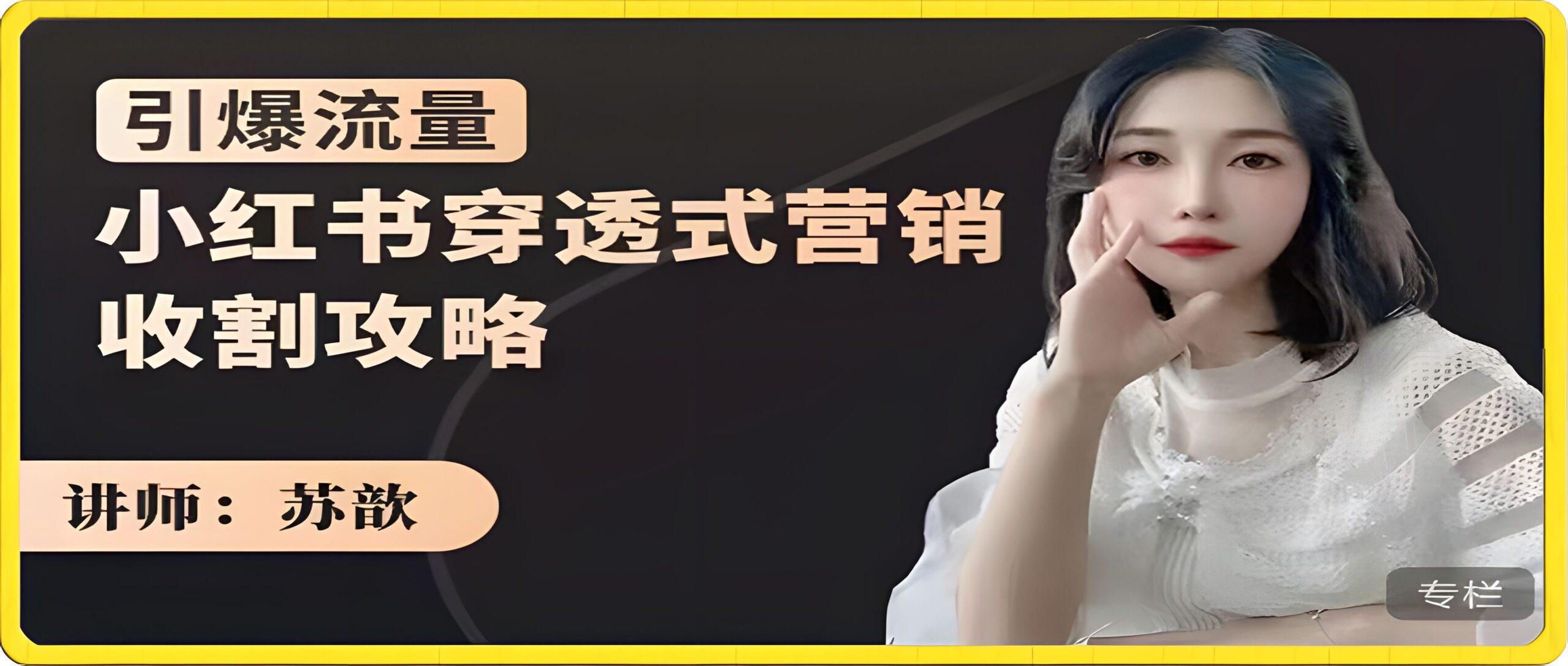 苏歆：小红书穿透式营销收割攻略