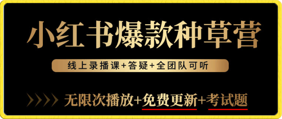 言若非-小红书爆款种草营