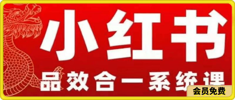 Dian小红书品效合一系统教学,0~1阶段小红书新品投放方法论