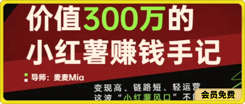 价值300万的 小红书赚钱手记