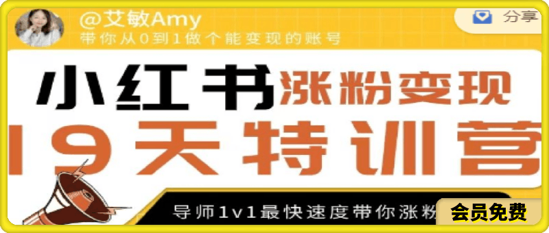 艾敏19天小红书涨粉变现特训营