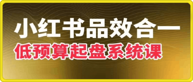 迪安品效合一:小红书低预算起盘系统课