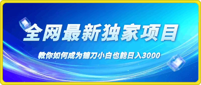 全网最新独家项目,教你如何成为镰刀小白也能日入3000