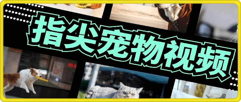 指尖宠物视频，1条视频涨粉1700，单日变现5000+