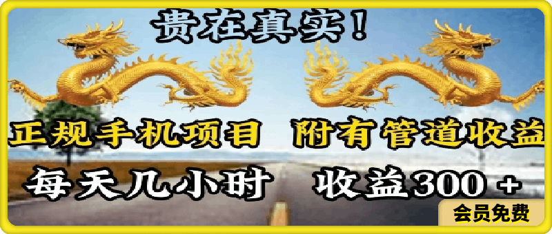 正规手机项目,附有丰富的管道收益,每天几小时,收益300