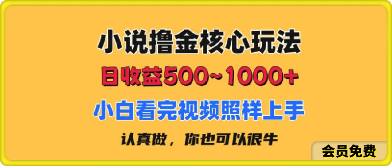 小说撸金核心玩法，日收益500-1000+，小白看完照样上手，0成本有手就行