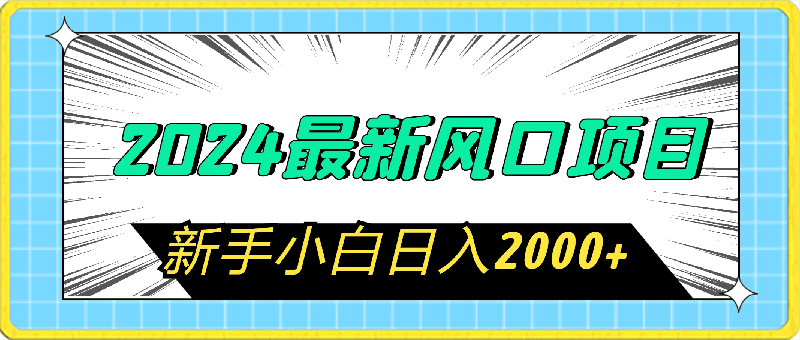 2024最新风口项目 新手小白日入2000+
