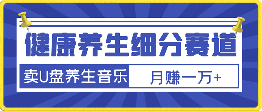 健康养生细分领域赛道,卖音乐U盘养生音乐,轻松月赚一万+,可批量操作【保姆级教程】