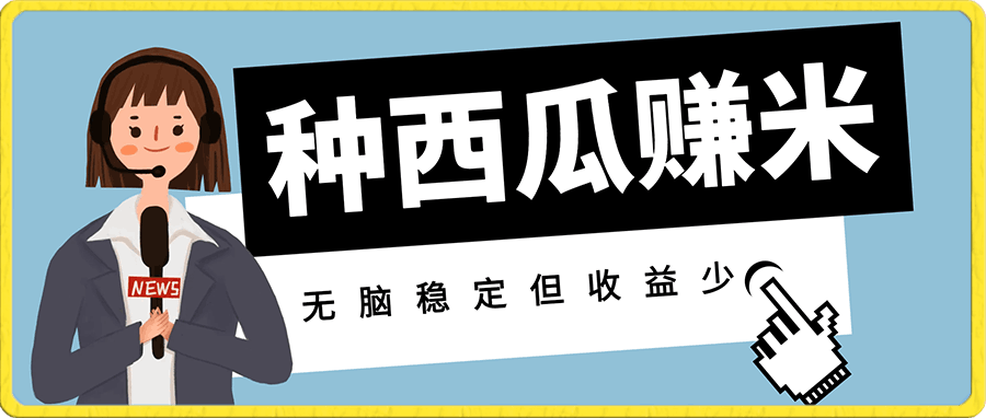 种西瓜赚米,西皮购,无脑项目,稳定但收益少