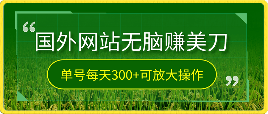 通过国外网站,无脑赚美刀,单号每天300+可放大操作,小白轻松上手【揭秘】