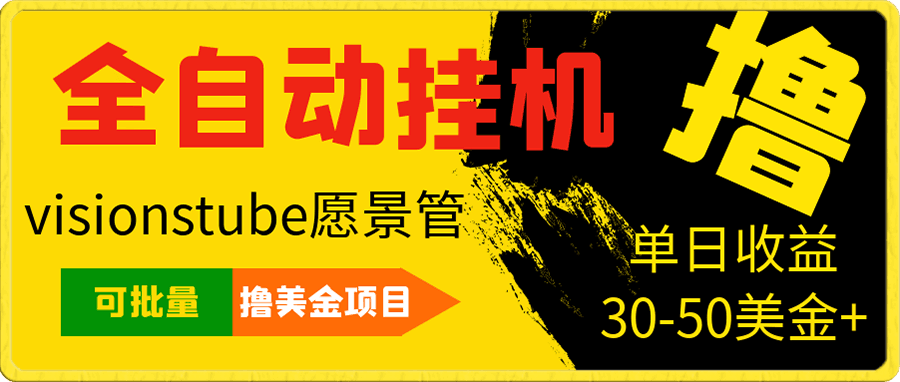 visionstube愿景管撸美金项目,单日收益30-50美金+,工作室可批量多开搞