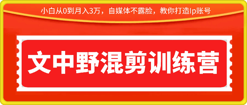 文中野混剪训练营教你打造Ip账号:小白从0到月入3万,自媒体不露脸,是如何做视频的