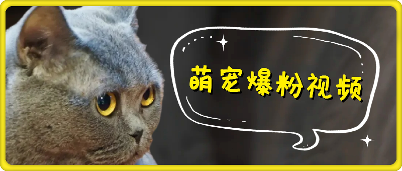 每天五分钟，利用即梦+Ai工具快速制作萌宠爆粉视频，狂撸视频号分成收益【揭秘】