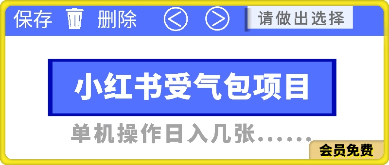 小红书受气包项目,单机操作日入几张