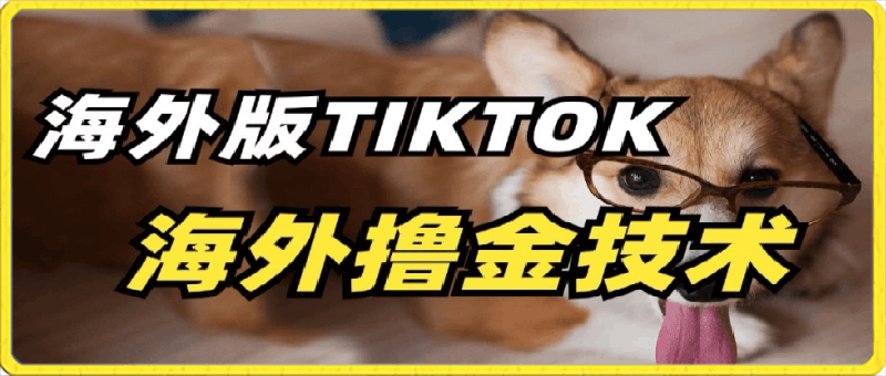 抖音海外版tiktok撸金技术，这个风口行业，赚钱真的不难【揭秘】