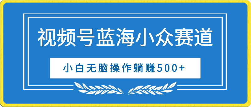 视频号蓝海小众赛道,小白无脑操作躺赚500+