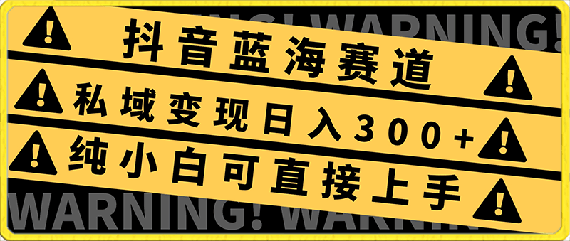 2024抖音蓝海赛道,私域变现日入300+,操作简单,每年只需一小时,纯小白可直接上手