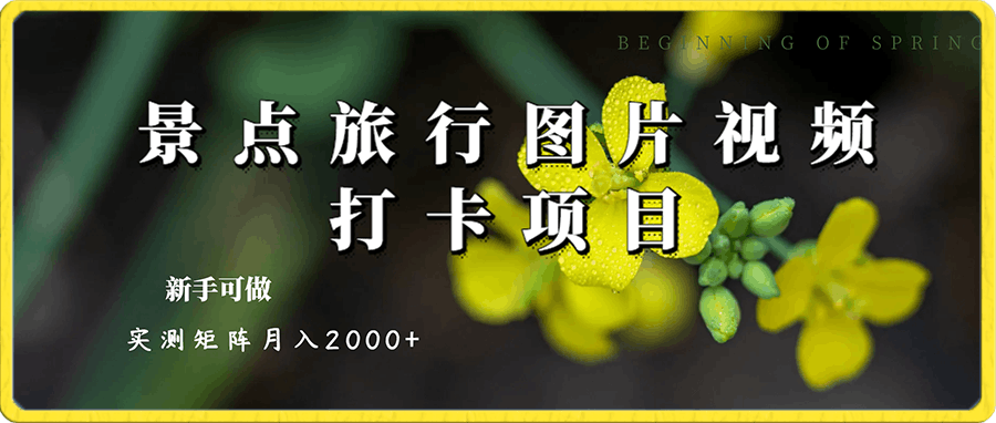 最新景点旅行图片视频打卡,实测矩阵月入2000+,新手可做【揭秘】