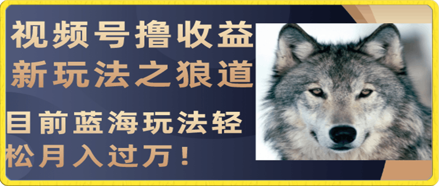 视频号撸收益新玩法之狼道,目前蓝海玩法轻松月入过万!