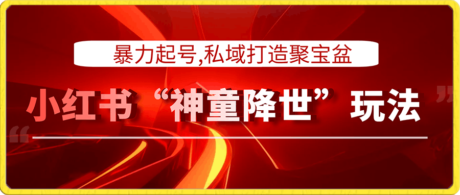 小红书“神童降世”玩法 暴力起号,私域打造聚宝盆