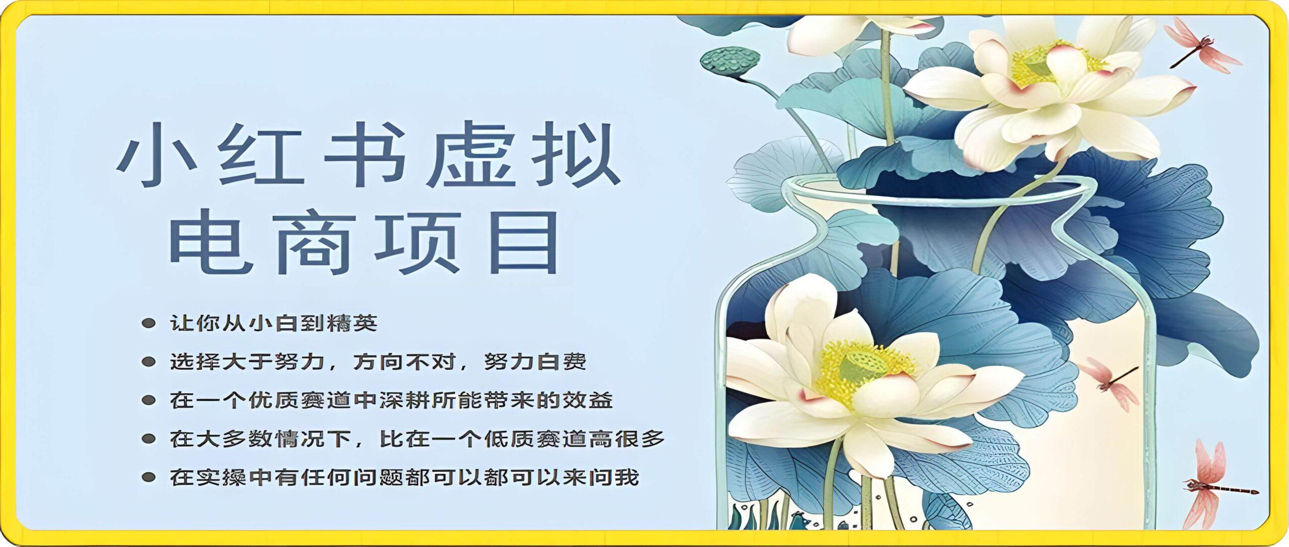 小红书虚拟电商从0到1,让你从小白到精英
