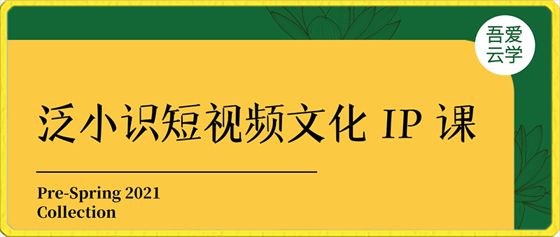 泛小识短视频文化 IP 课