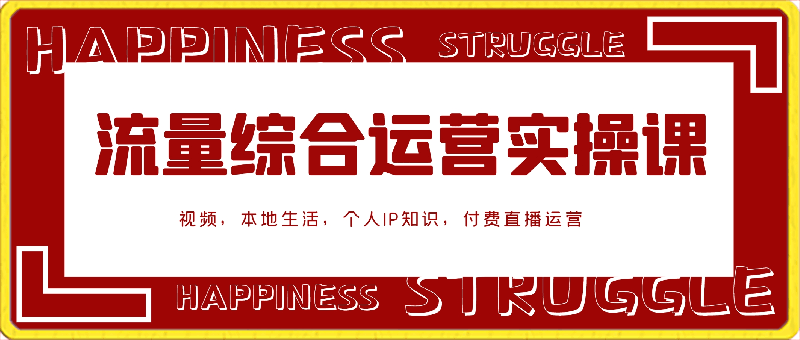 SJG流量综合运营实操课