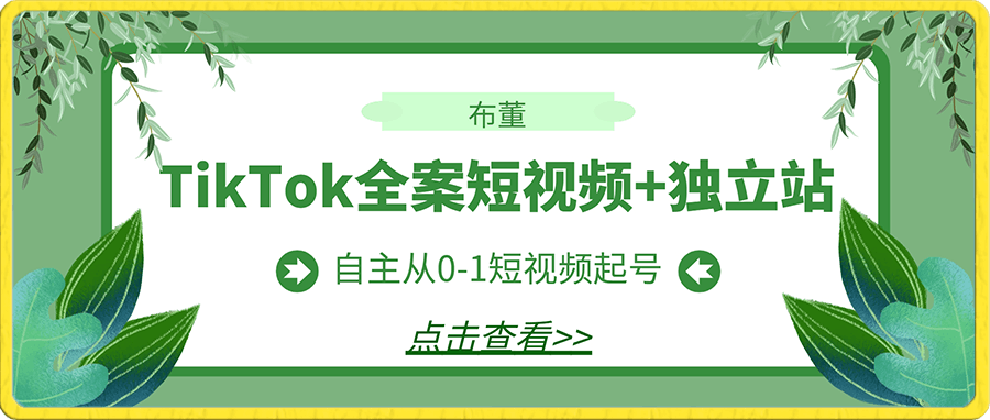 布董·TikTok全案短视频+独立站