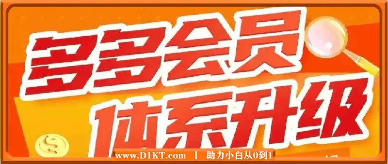 多多大师泓一弟子班拼多多实操陪跑特训营2024年