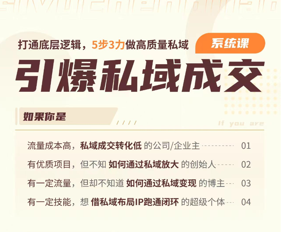 引爆私域成交力-系统课