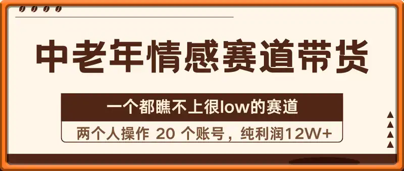 一个都瞧不上很low的赛道，中老年情感赛道带货，两个人操作 20 个账号，纯利润12w+