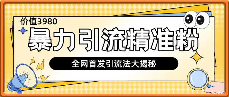 全网首发，价值3980单日暴力引流300+的精准引流法大揭秘