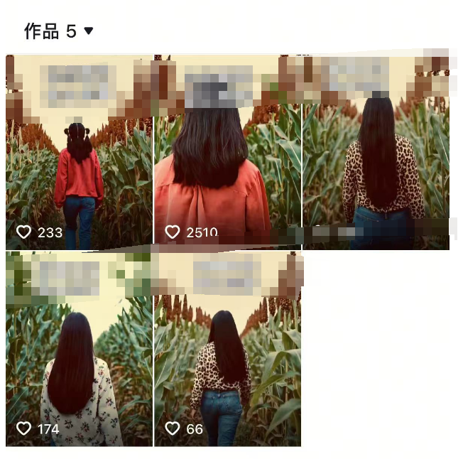 抖音暴力涨粉技术，一天保底1-10万粉