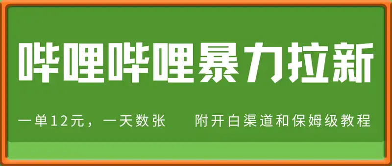 哔哩哔哩暴力拉新：2025年新风口，一单12元，一天数张(附开白渠道和保姆级教程)