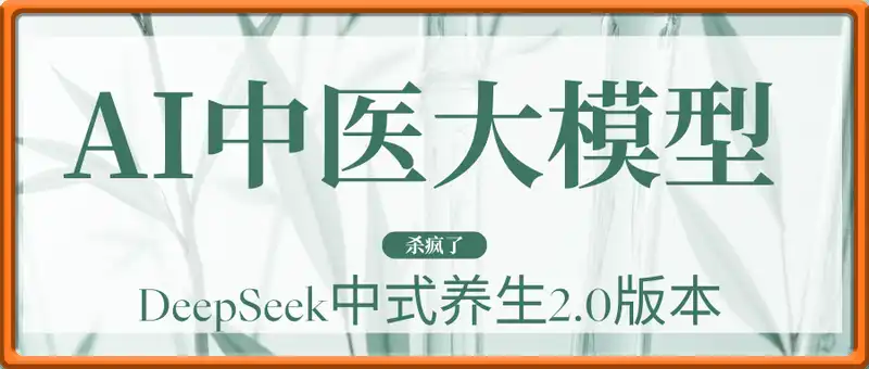 AI中医大模型杀疯了！DeepSeek中式养生2.0版本，十几篇笔记粉丝3w+
