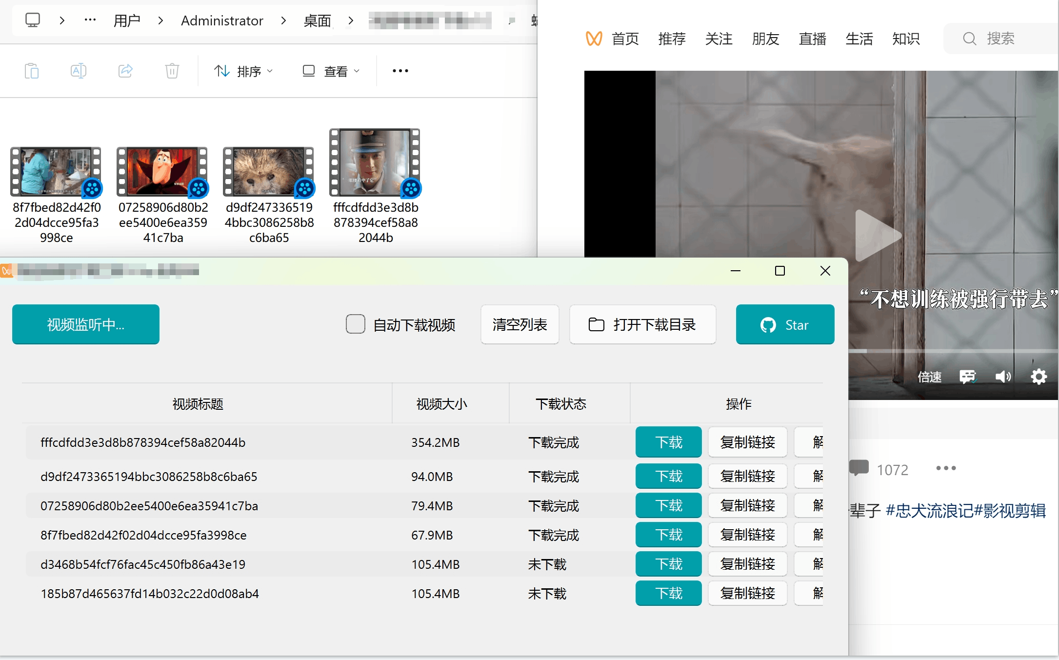 视频号下载器，去水印，解析下载，支持下载视频号视频