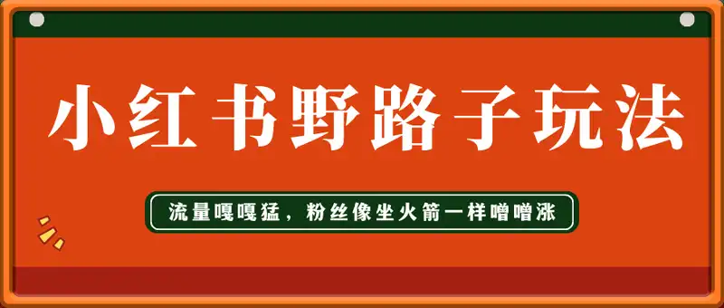 最新小红书野路子玩法，单日引流200+创业粉
